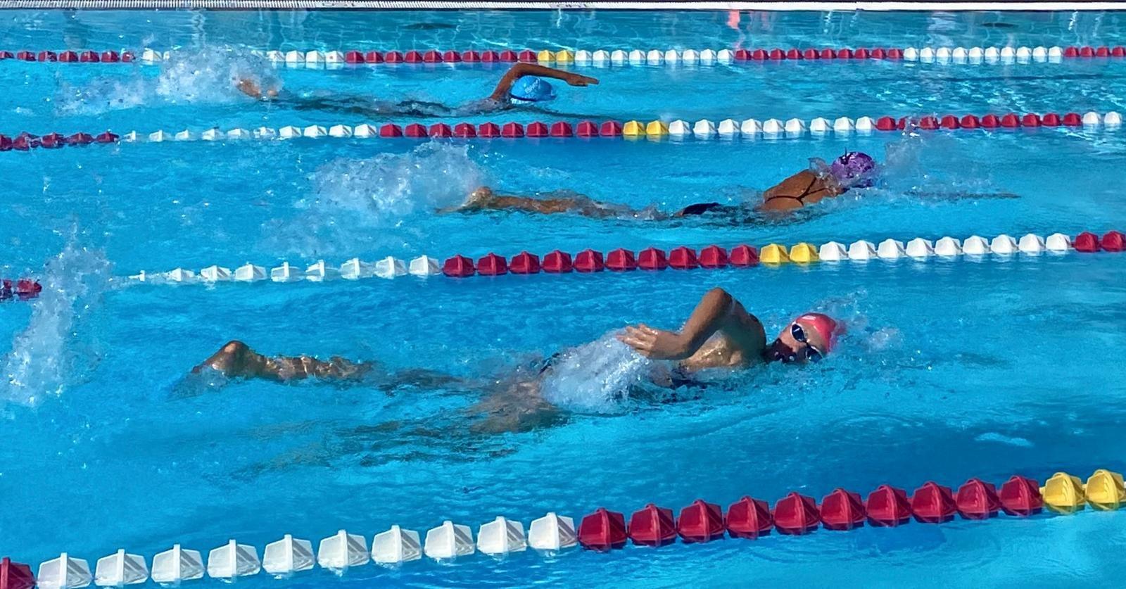 Natation — programme