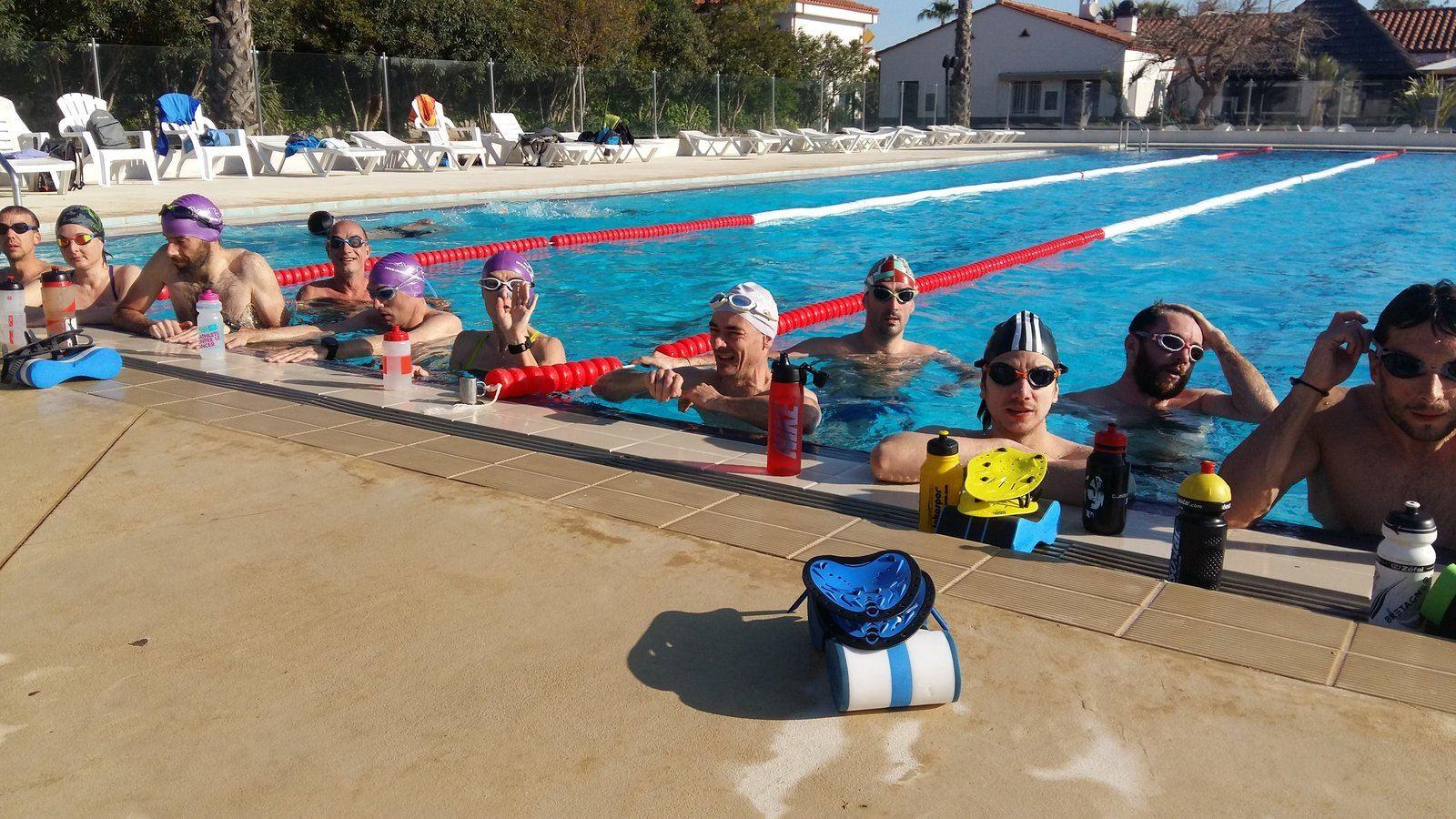 Séance de natation en groupe en piscine extérieure, athlètes coachés en pause sur le bord